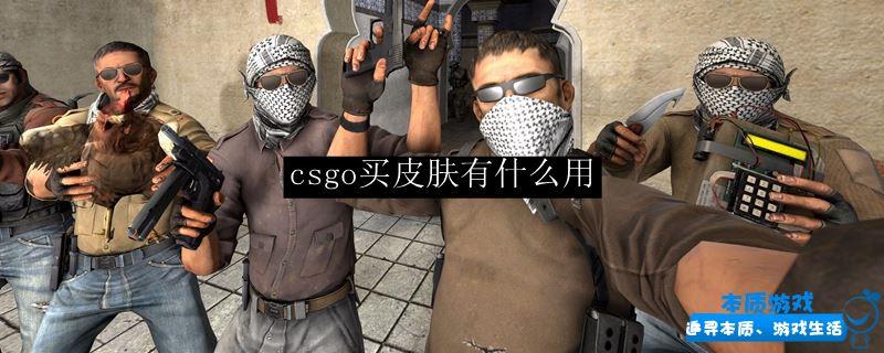 csgo买皮肤有什么用