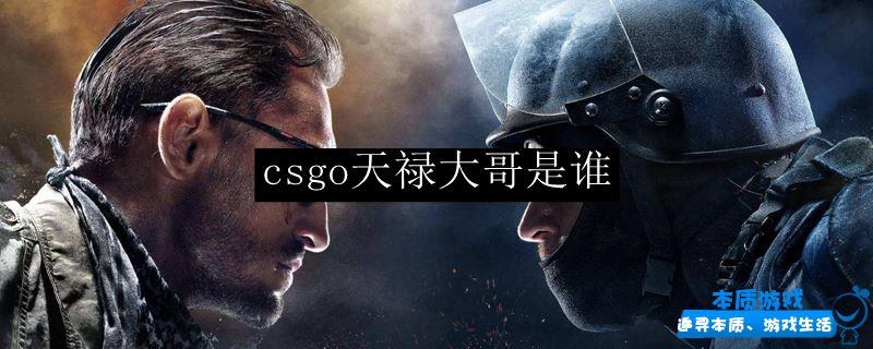 csgo天禄大哥是谁