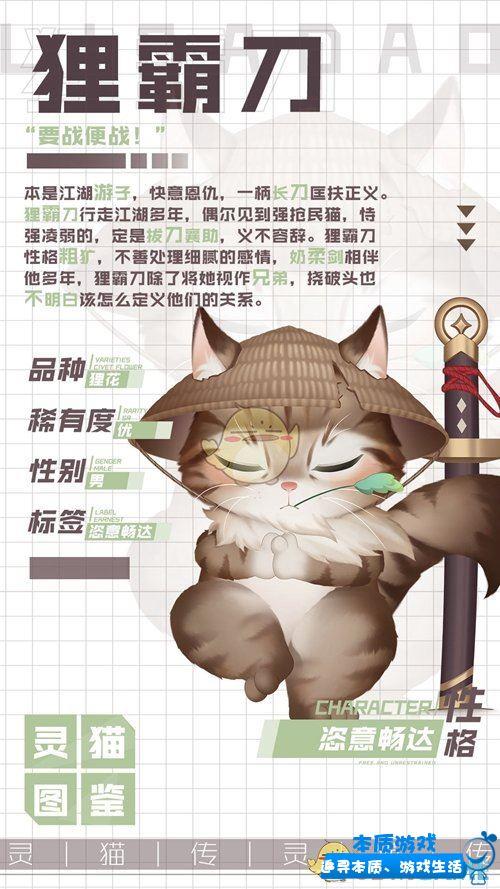 灵猫传