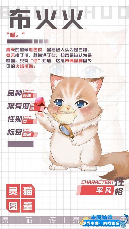 灵猫传