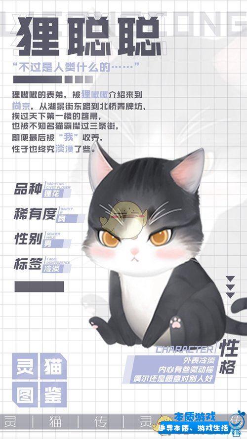 灵猫传