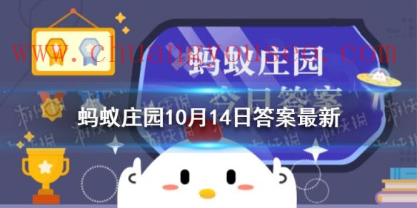 重阳节登高 蚂蚁庄园最新答案10.14_支付宝好玩吗