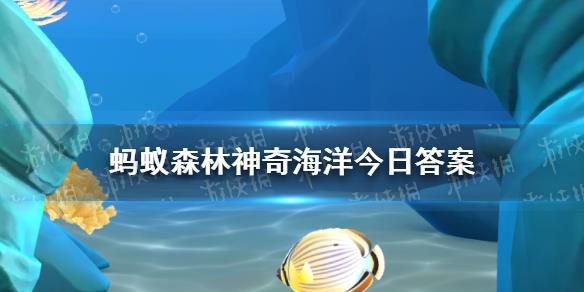 海牛和陆地上的牛有哪些相似点 蚂蚁森林神奇海洋今日答案10.11最新